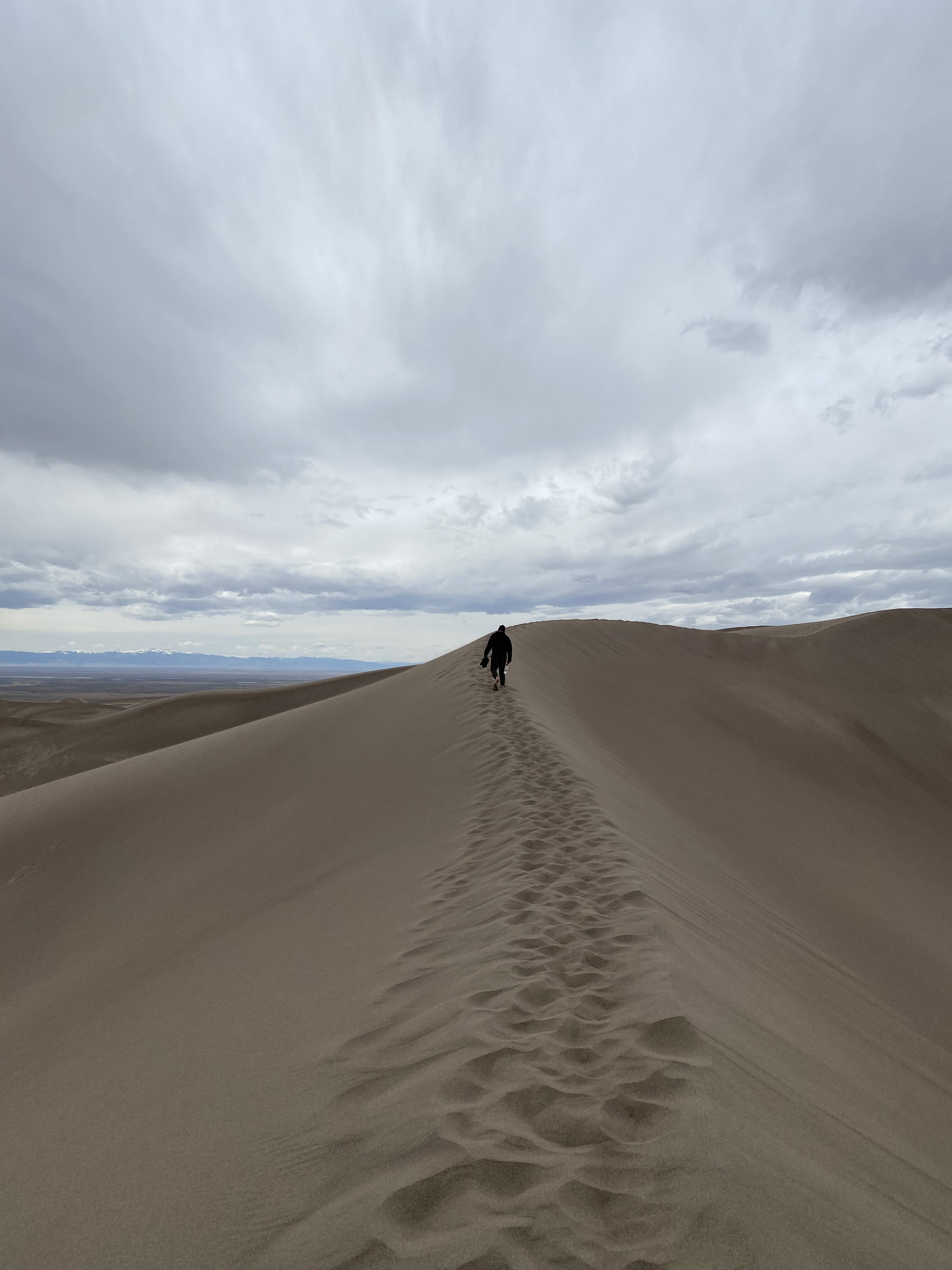 Desert_jpg