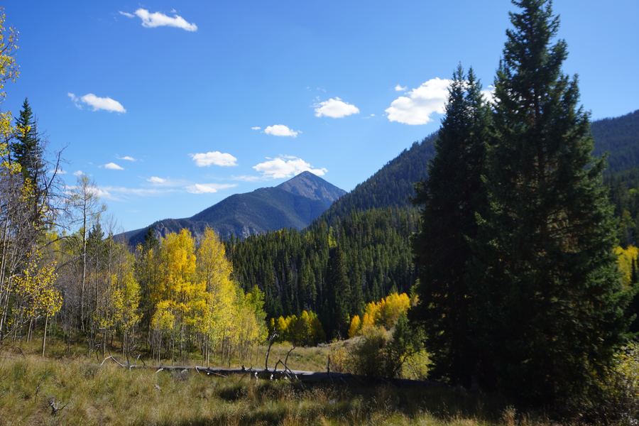 Mountain peak above a valley of aspen and pine